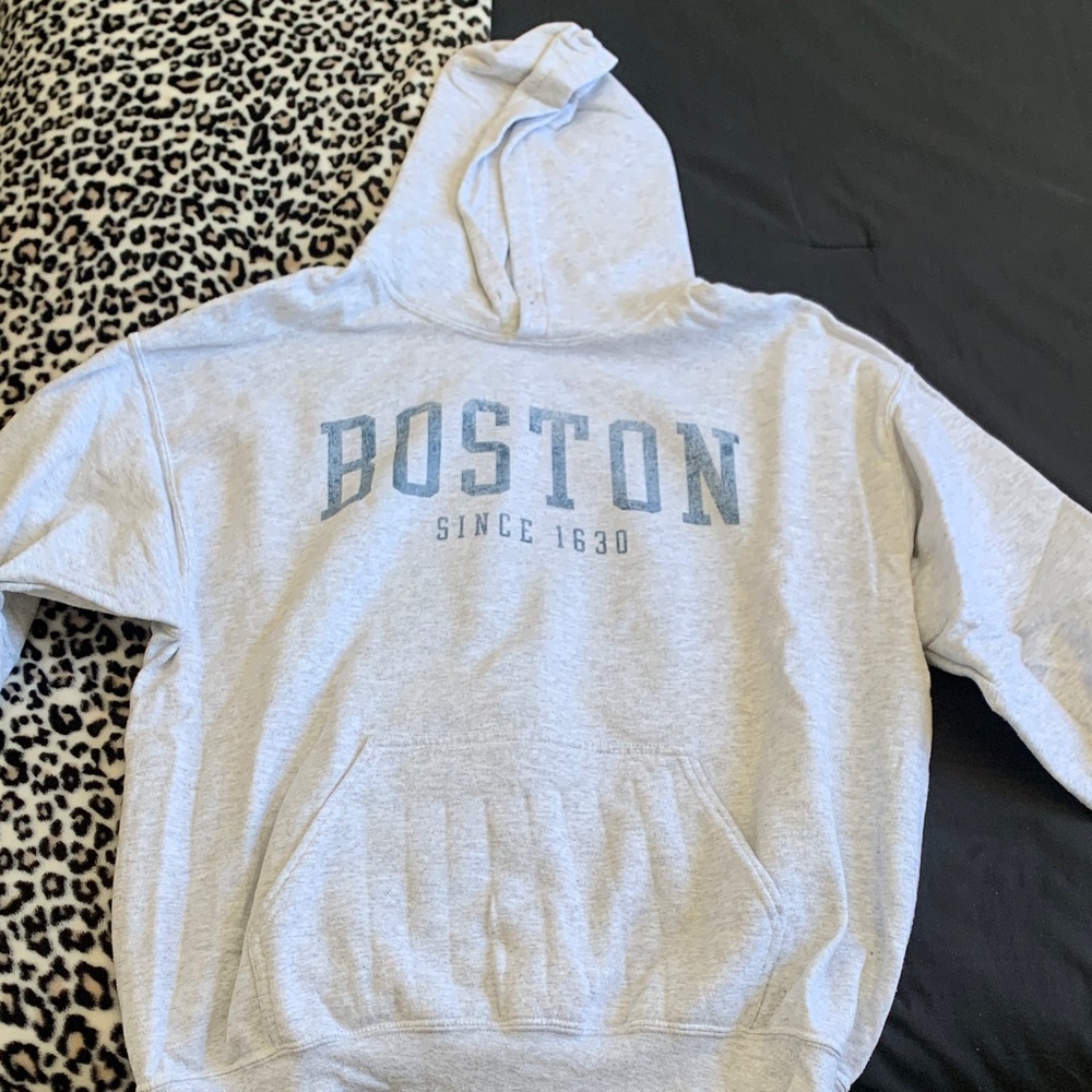 Gray Boston Hoodie